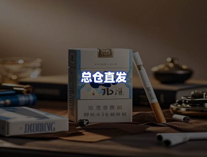 专业团队